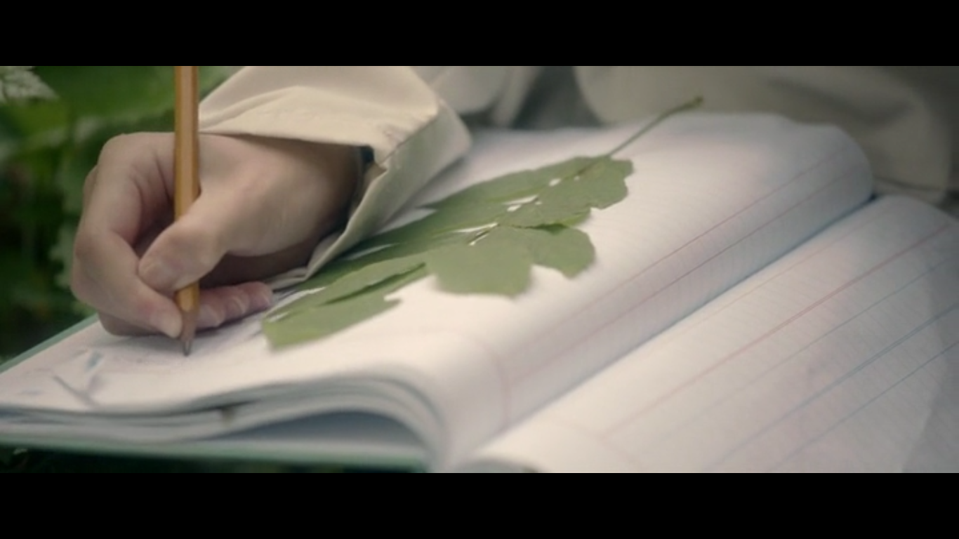 Lacanian Analysis: American Cinema