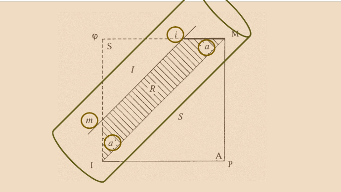 Freud Fundamental As Ideias e as Works com Pedro de Santi